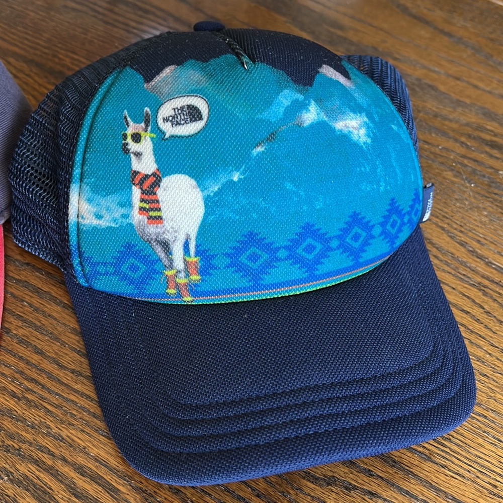 Rare Northface Hat Bundle - image 3